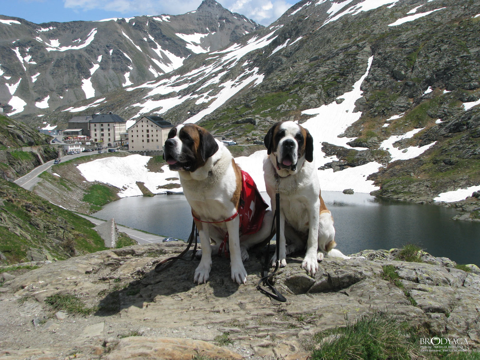 Grand Saint Bernard